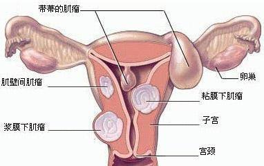 游戏专题 第56页