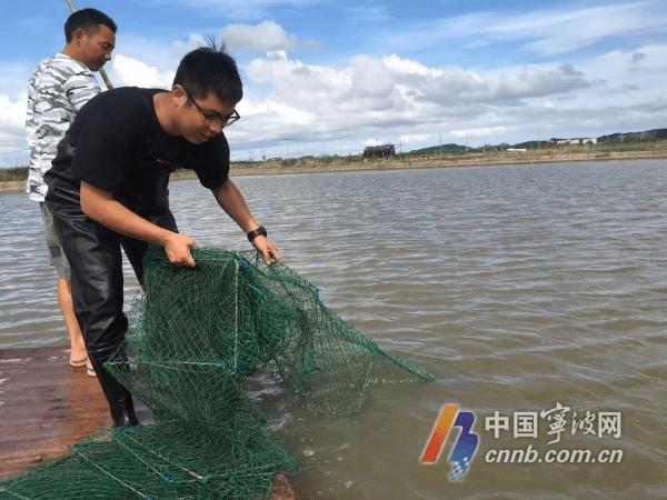 热点生活 第6页
